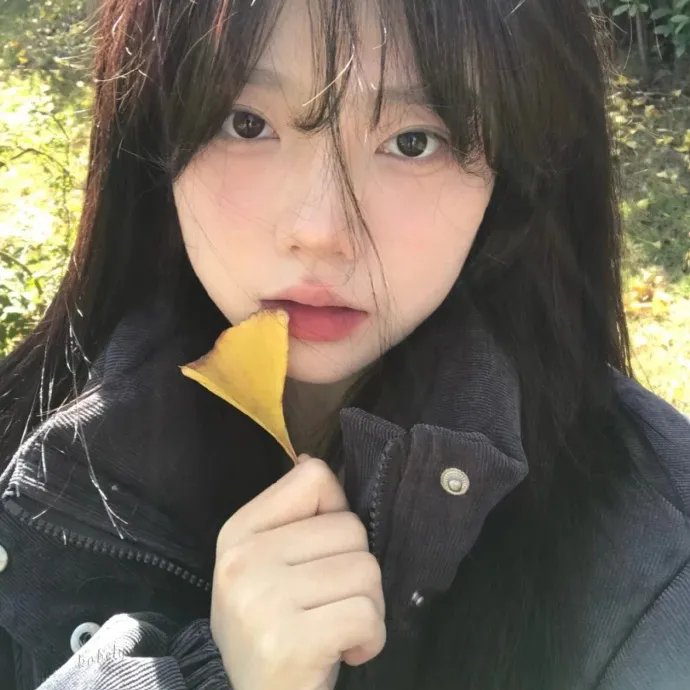 春天的紫丁香封面